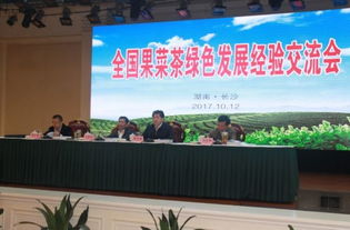 金井鎮湘豐茶業 以茶為媒，推動綠色發展新篇章